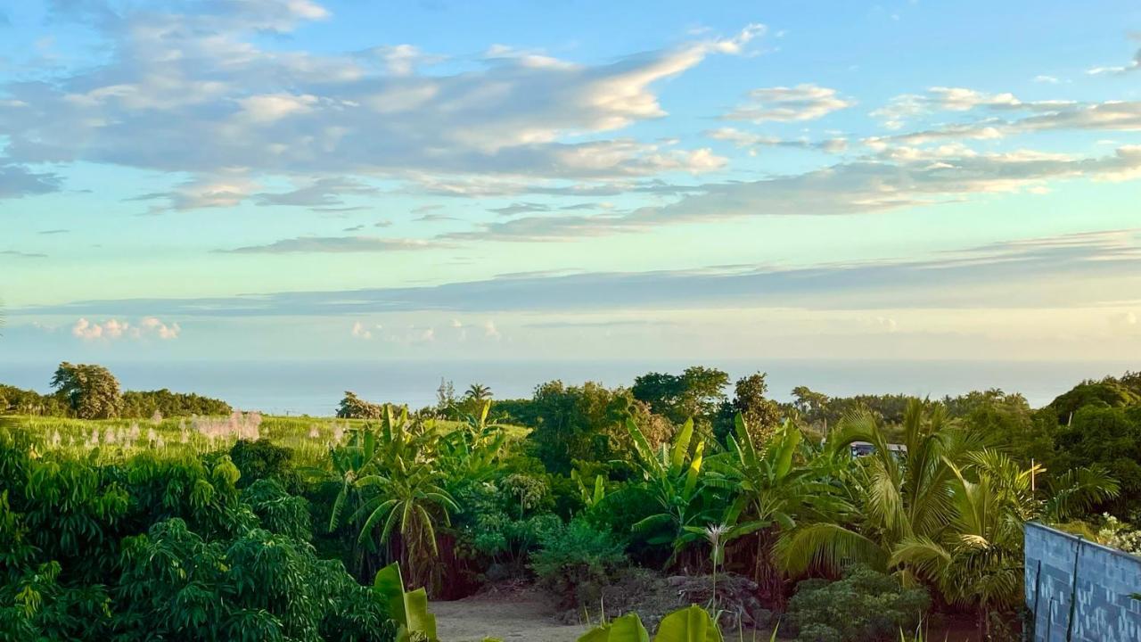 Les Villas De La Ligne Des Bambous Ravine des Cabris Exterior foto